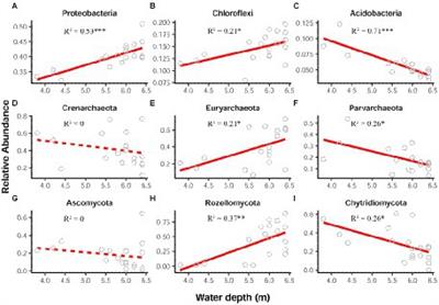 Taxonomic dependency of beta diversity for bacteria, archaea, and fungi in a semi-arid lake